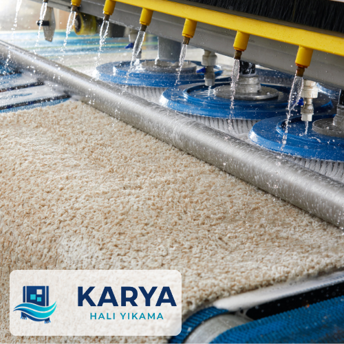 Kayapa Halı Yıkama
